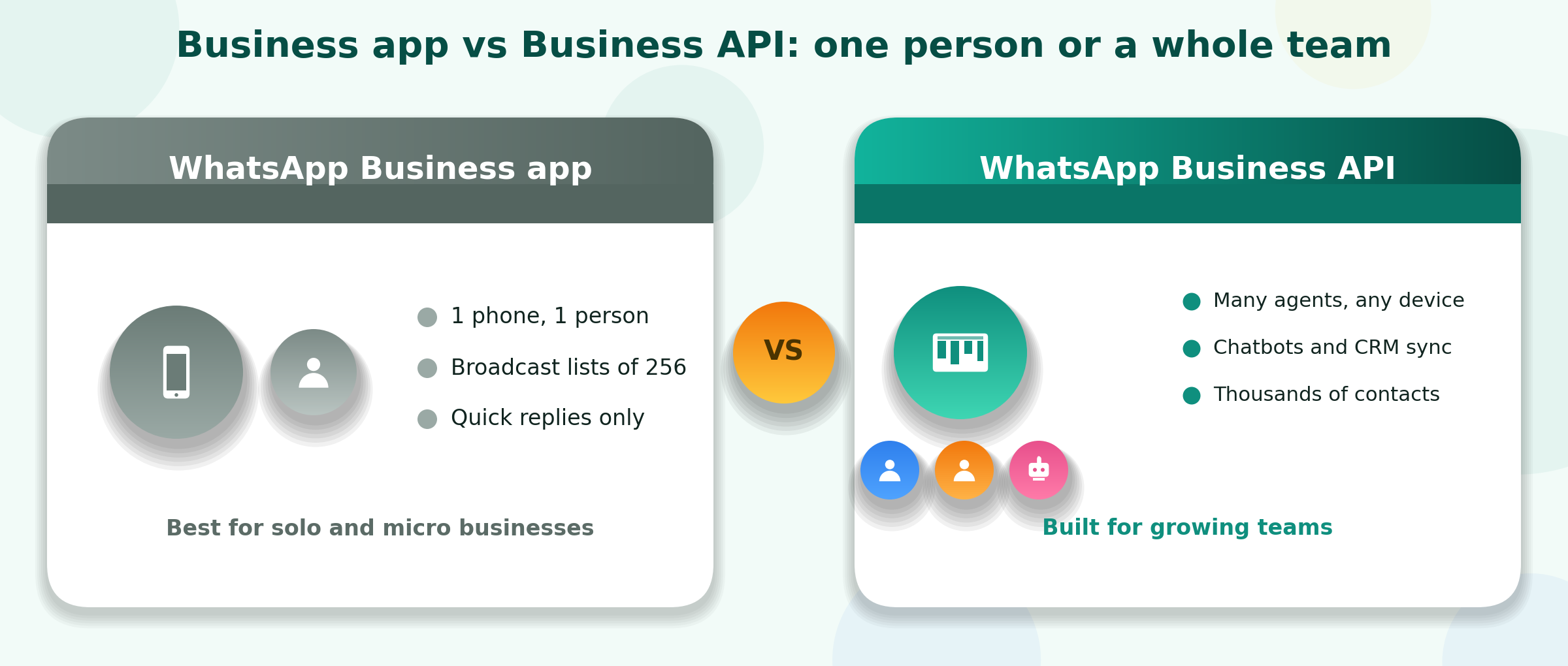 Business app vs Business API: one person or a whole team